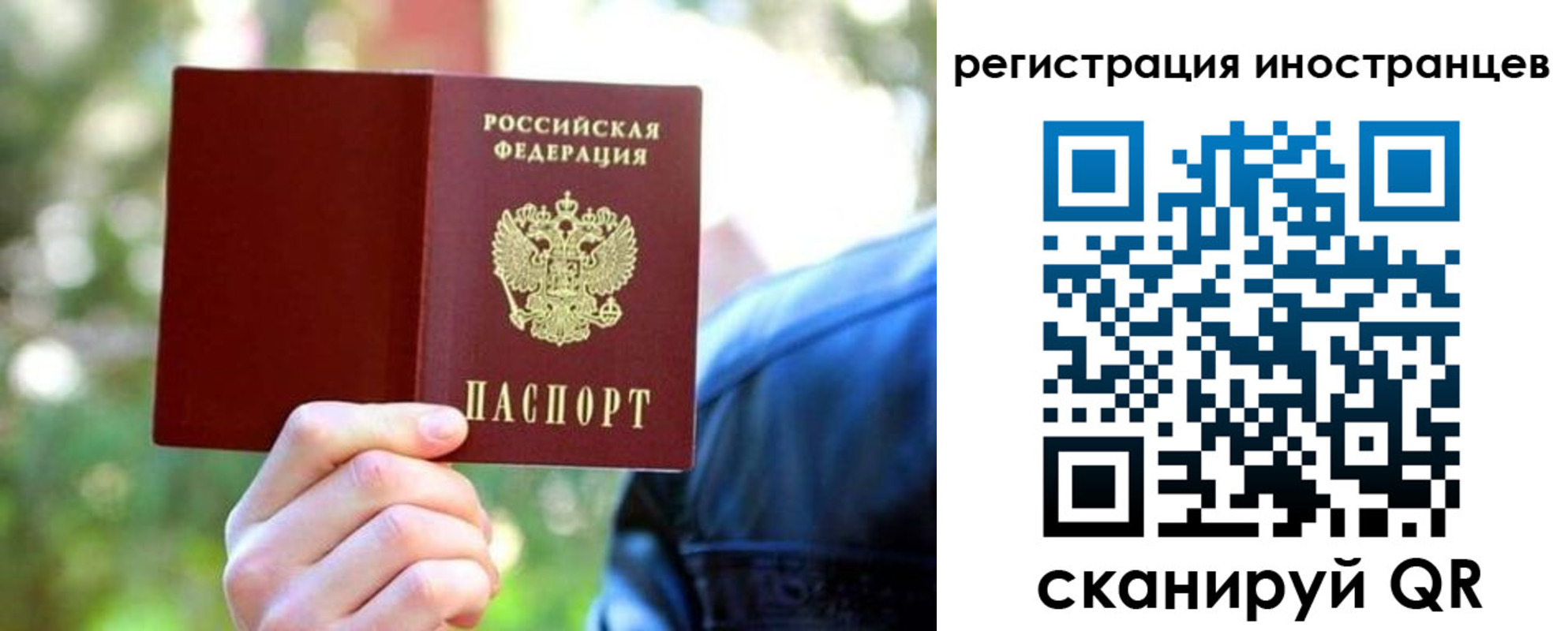 временная регистрация поиск в Невинномысске